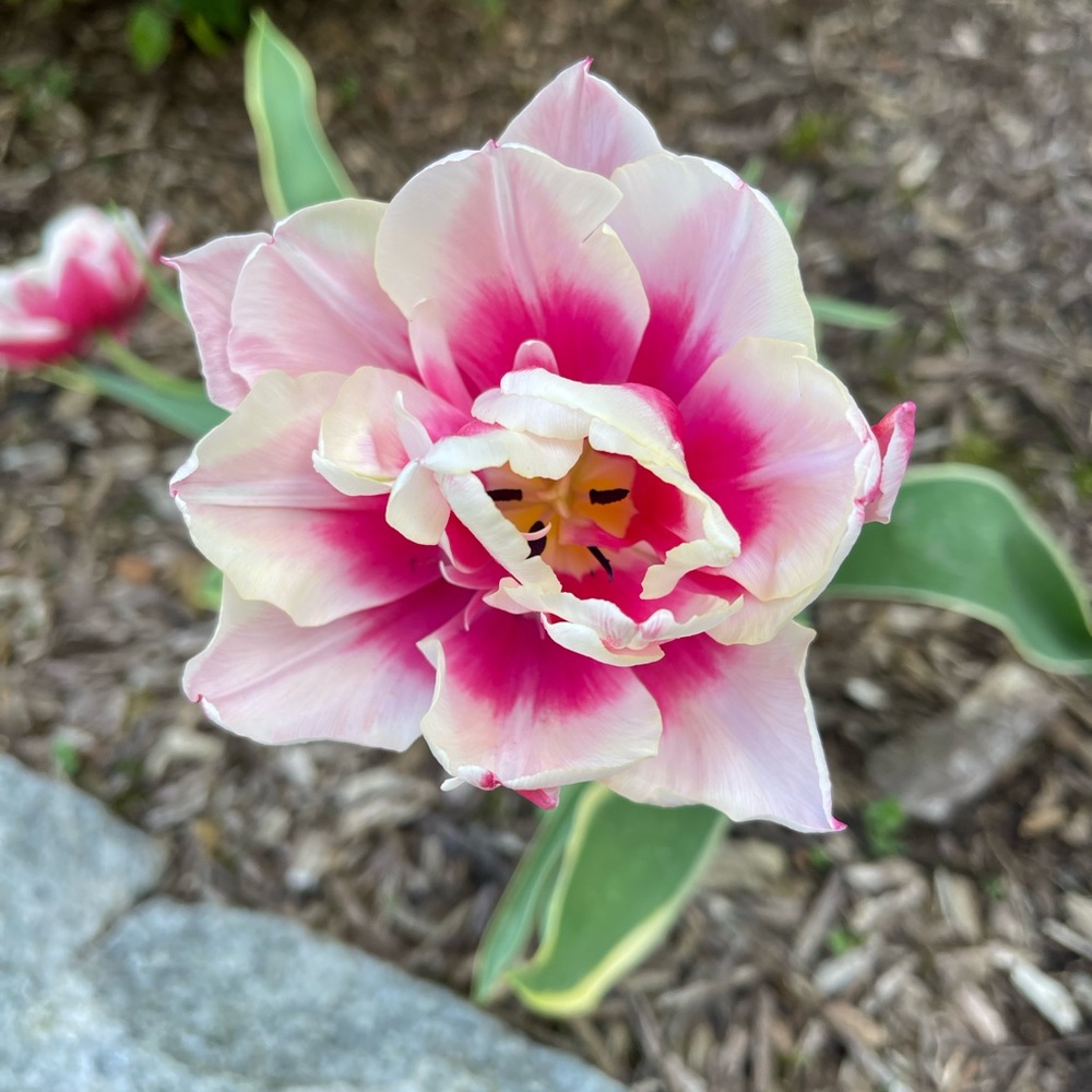 Welcome to my closet!